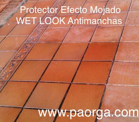 Protector Wet Look Antimanchas* (5 Ltr.)