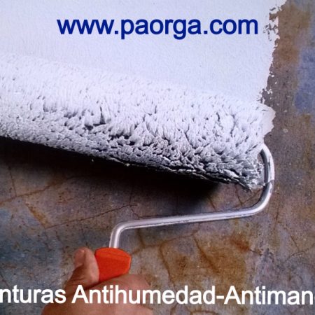 Pintura Antihumedad-Antimanchas P-10 Blanco